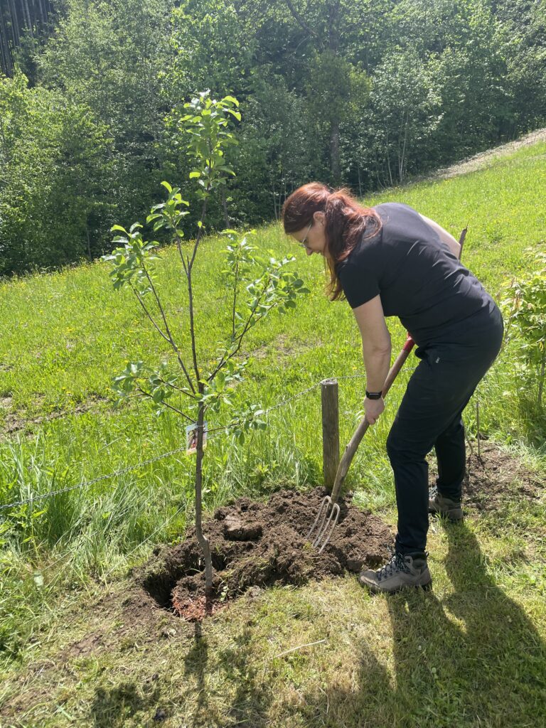 Garten im Klimawandel Garten im Klimawandel