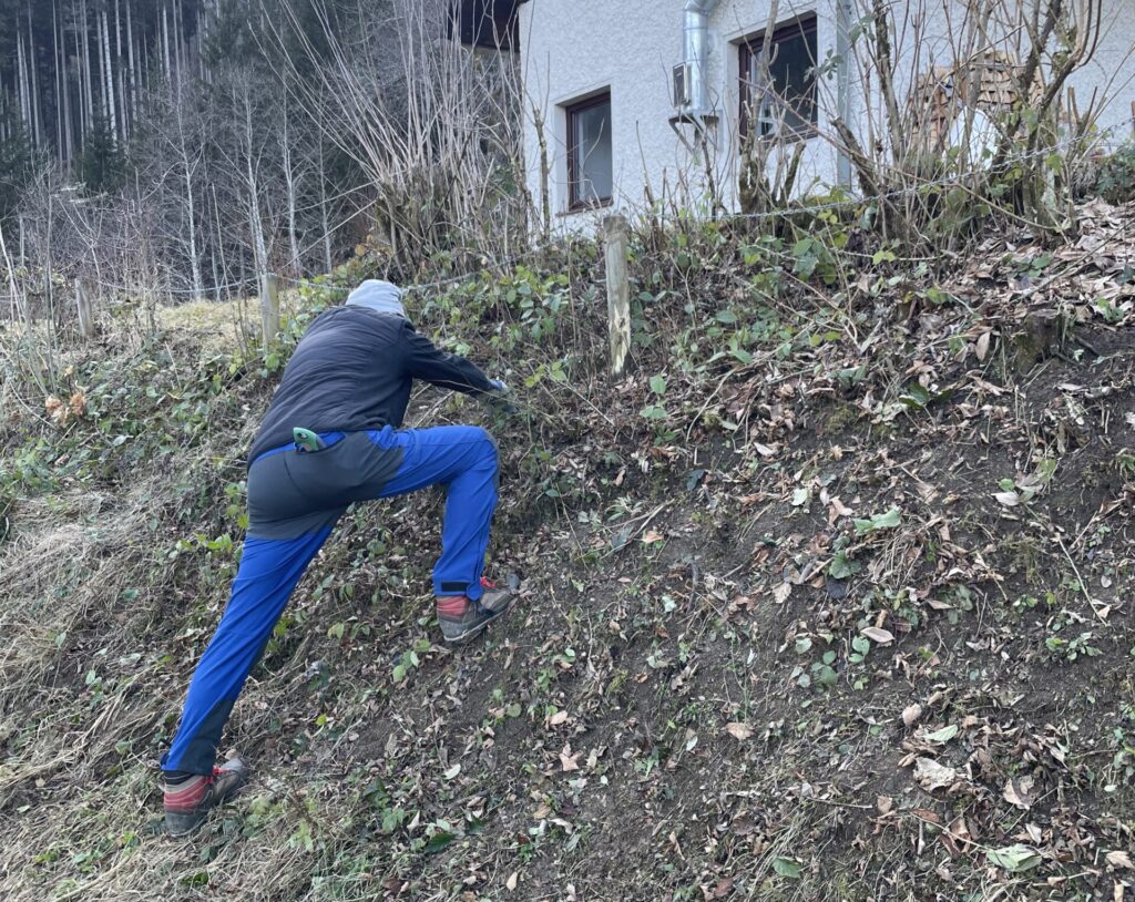 Veränderte Vegetationsperioden Veränderte Vegetationsperioden